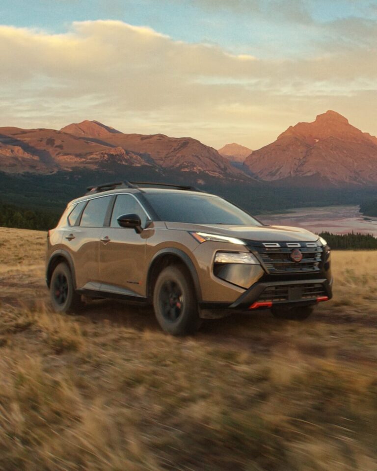 You can't go wrong with a Rogue for offroad adventures. You can't go wrong with a Rogue for offroad adventures.