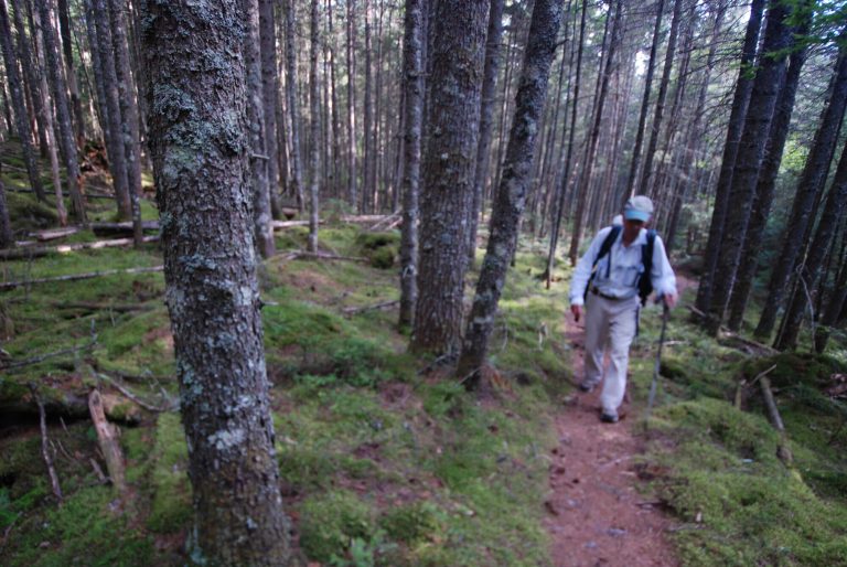 ENE Hiking 768x514