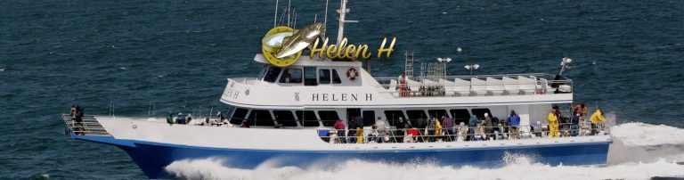 Helen H top photo 1 768x202