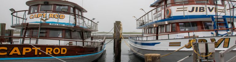boat rentals and charters topper 2 768x202